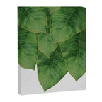 Banana Leaf III Canvas Print Gallery Image 6