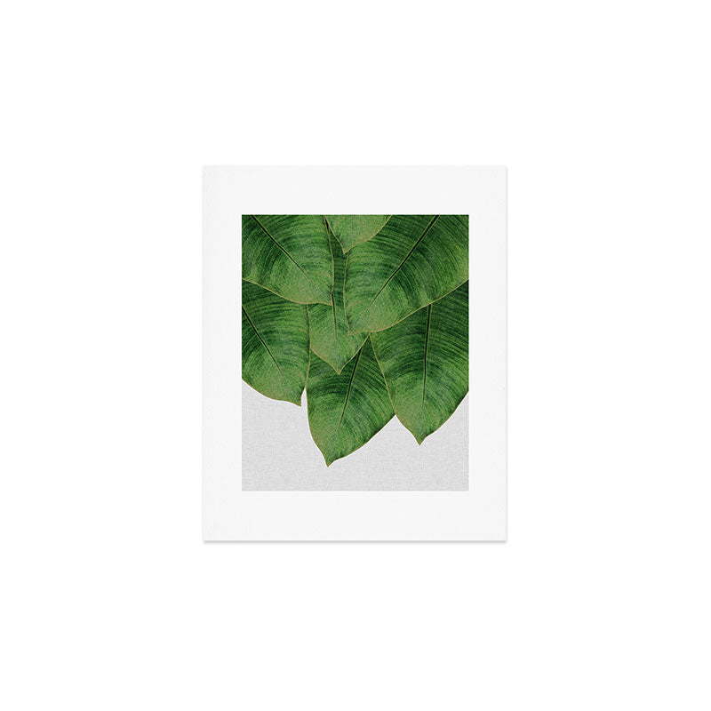 Banana Leaf III Art Print Gallery Image 1