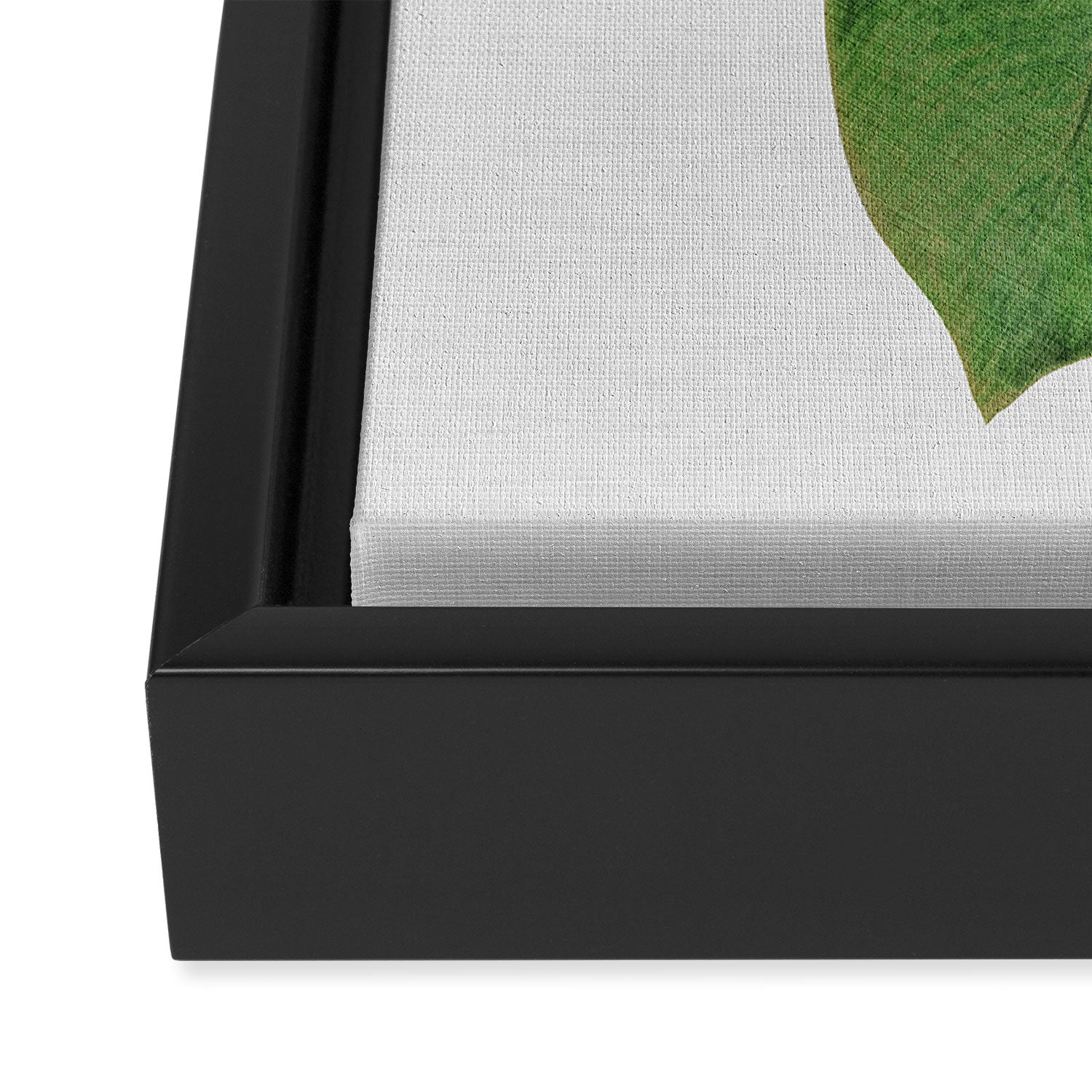 Banana Leaf III Framed Canvas Print Gallery Image 3