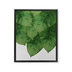 Banana Leaf III Framed Canvas Print Gallery Image 6