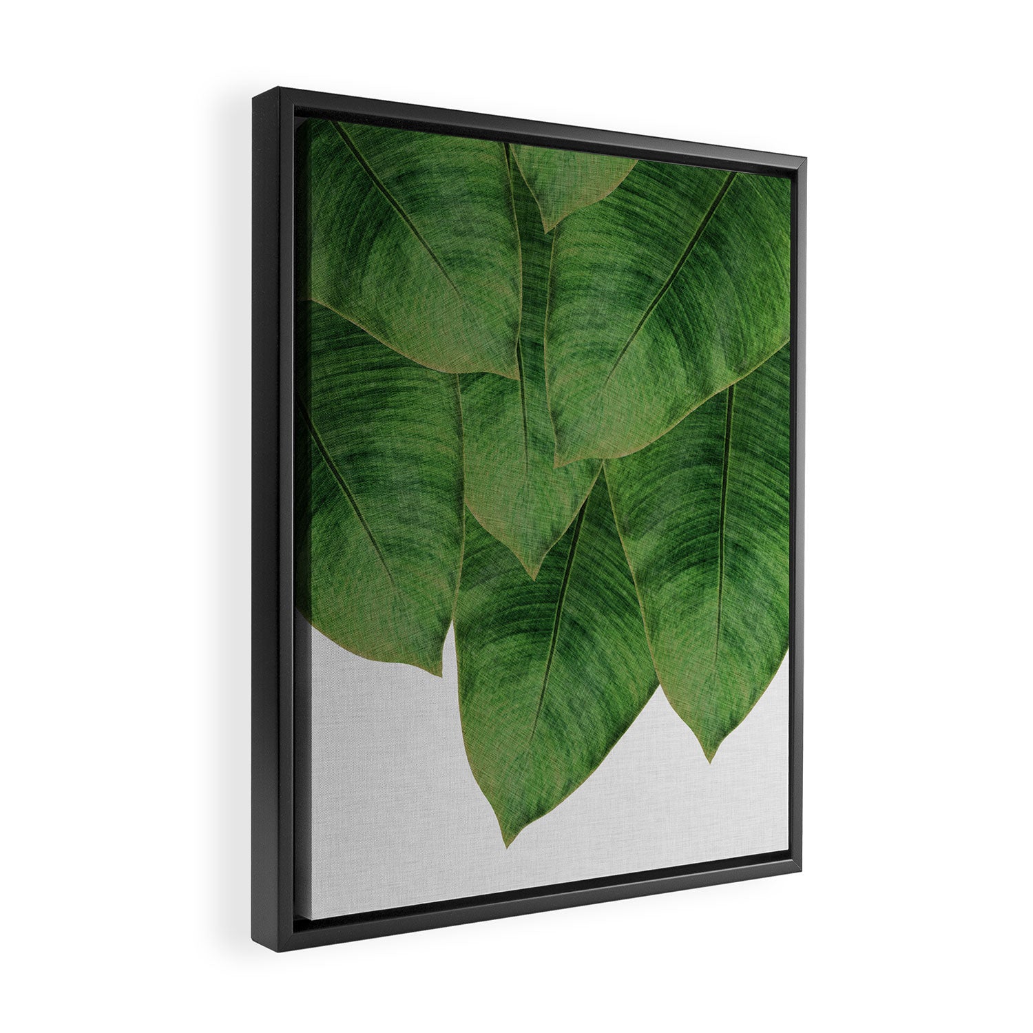 Banana Leaf III Framed Canvas Print Gallery Image 2