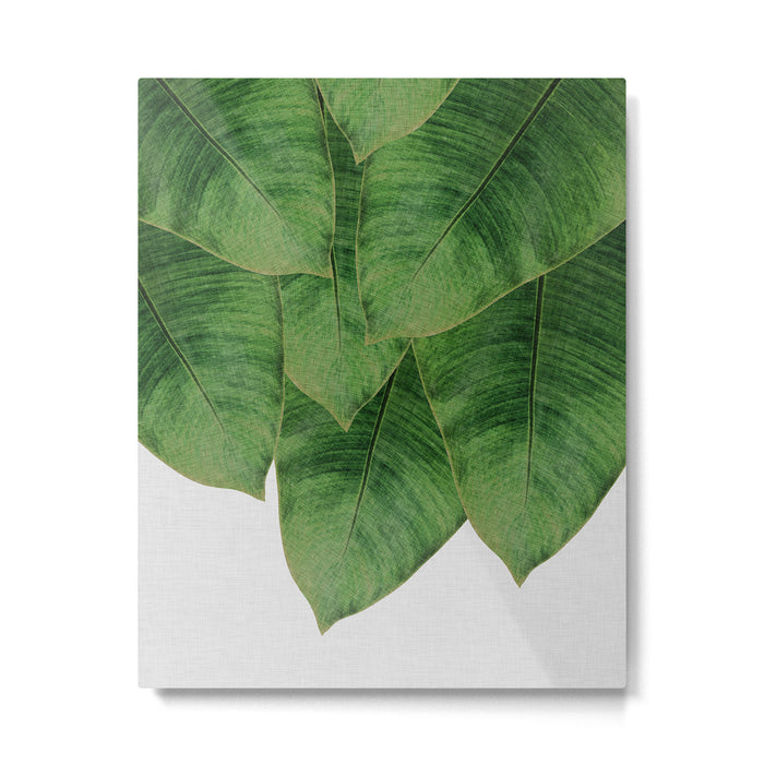 Banana Leaf III Metal Print Gallery Image 1