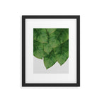 Banana Leaf III Framed Art Print Gallery Image 5