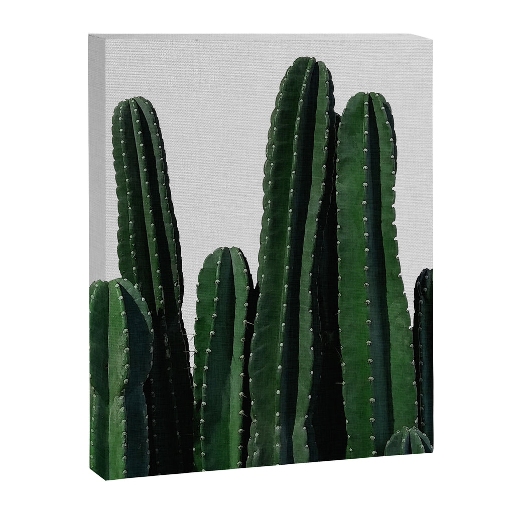 Cactus I Canvas Print Gallery Image 6