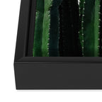 Cactus I Framed Canvas Print Gallery Image 3