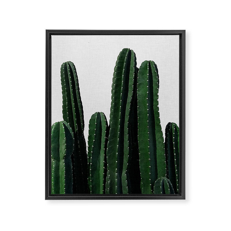 Cactus I Framed Canvas Print Gallery Image 6
