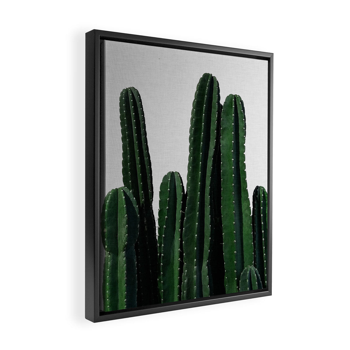 Cactus I Framed Canvas Print Gallery Image 2