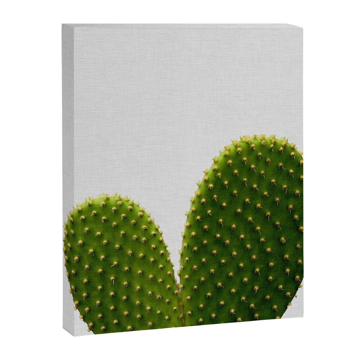 Heart Cactus Canvas Print Gallery Image 6