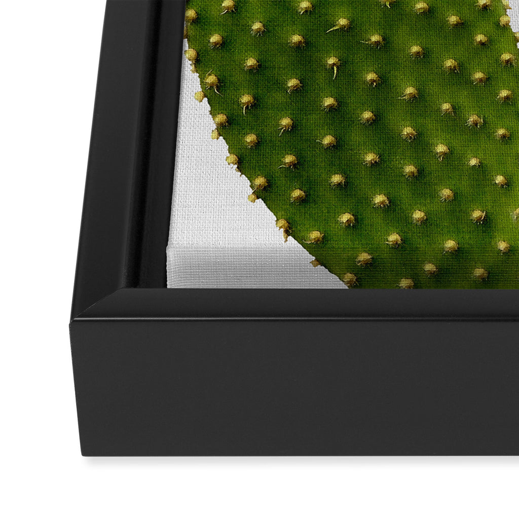 Heart Cactus Framed Canvas Print Gallery Image 3