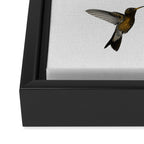 Hummingbird & Flower I Framed Canvas Print Gallery Image 3