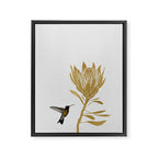 Hummingbird & Flower I Framed Canvas Print Gallery Image 6