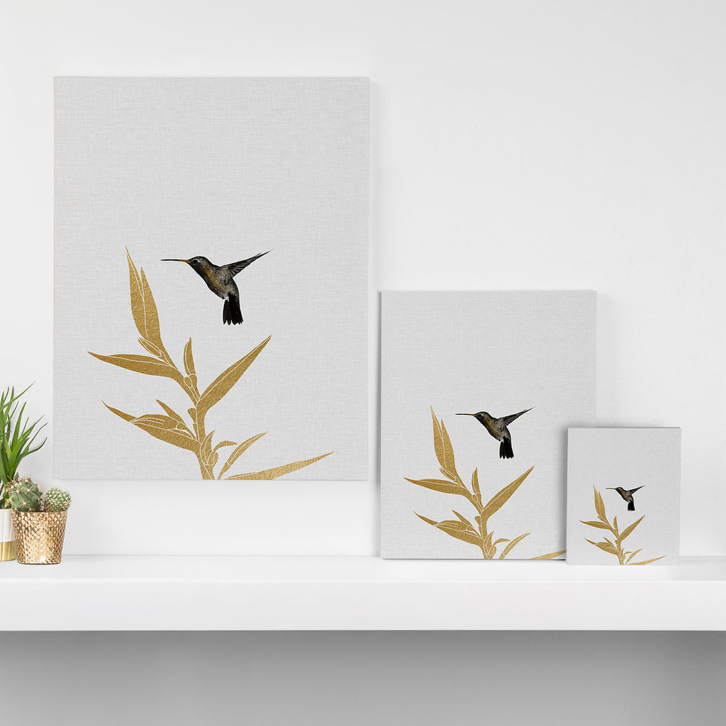 Hummingbird & Flower II Canvas Print Gallery Image 3