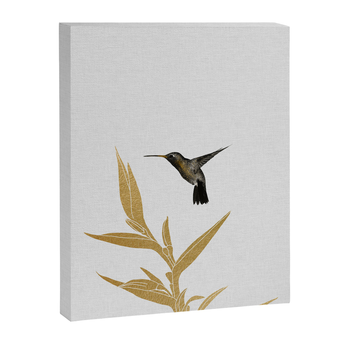 Hummingbird & Flower II Canvas Print Gallery Image 6