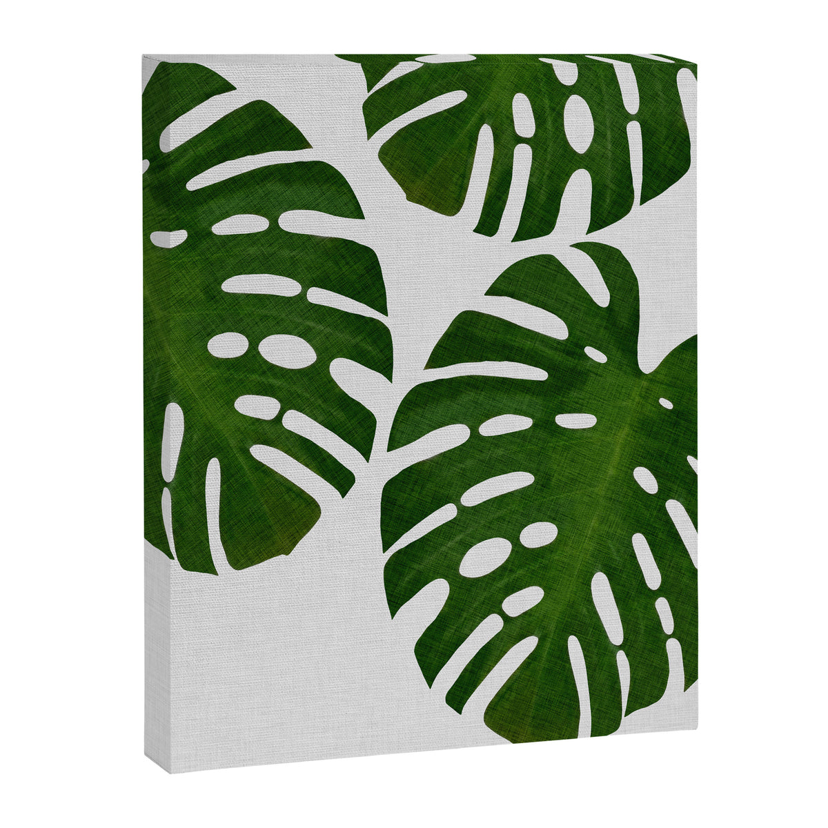 Monstera Leaf III Canvas Print Gallery Image 6