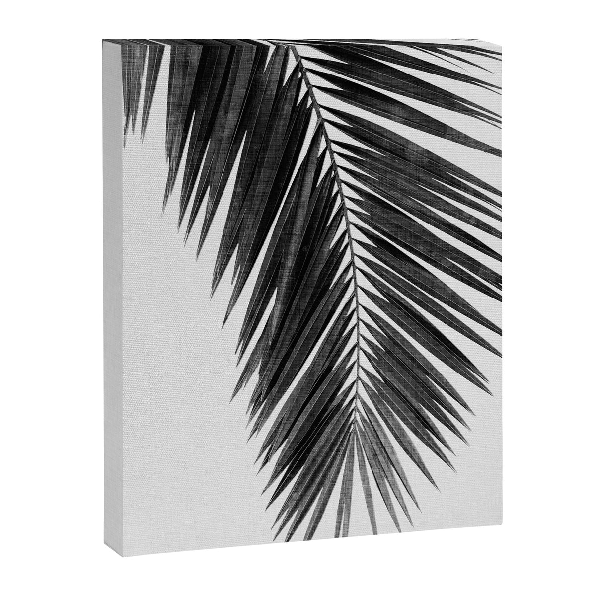 Palm Leaf Black & White I Canvas Print Gallery Image 6