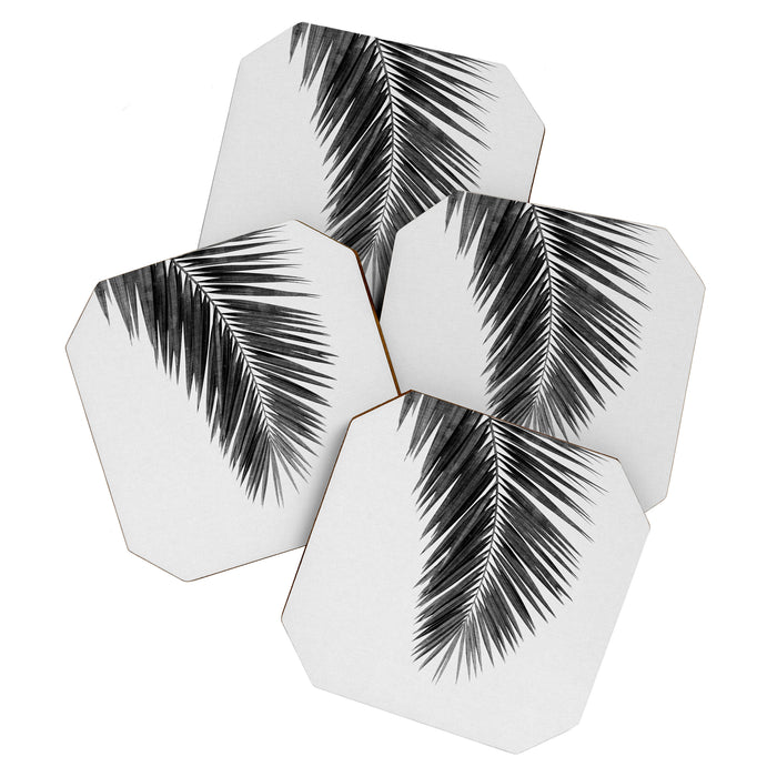 Palm Leaf Black & White I Coaster Gallery Image 1