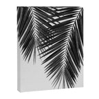 Palm Leaf Black & White II Canvas Print Gallery Image 6