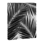 Palm Leaf Black & White III Canvas Print Gallery Image 6