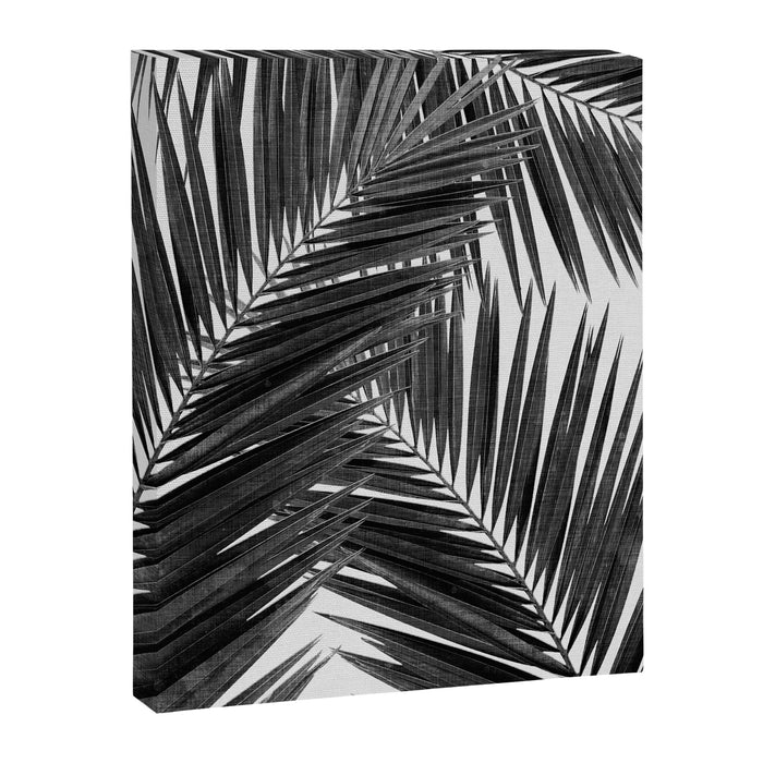 Palm Leaf Black & White III Canvas Print Gallery Image 1