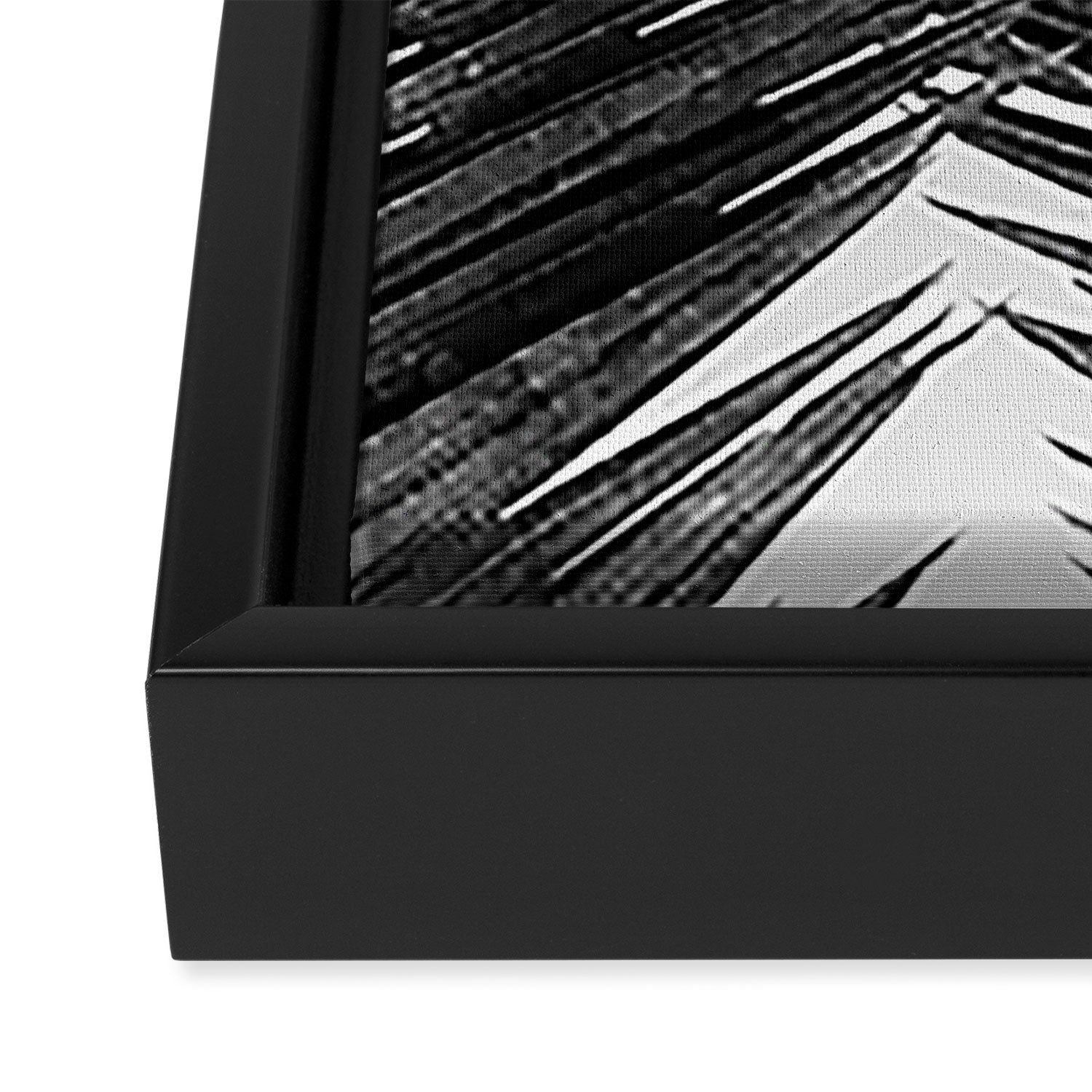 Palm Leaf Black & White III Framed Canvas Print Gallery Image 3