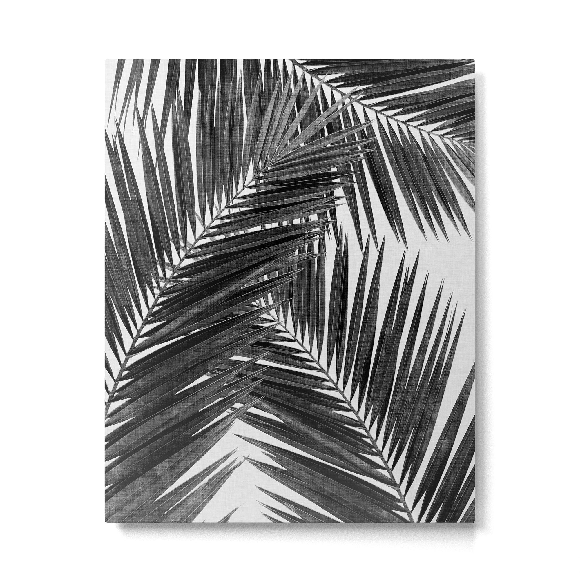 Palm Leaf Black & White III Metal Print Gallery Image 4