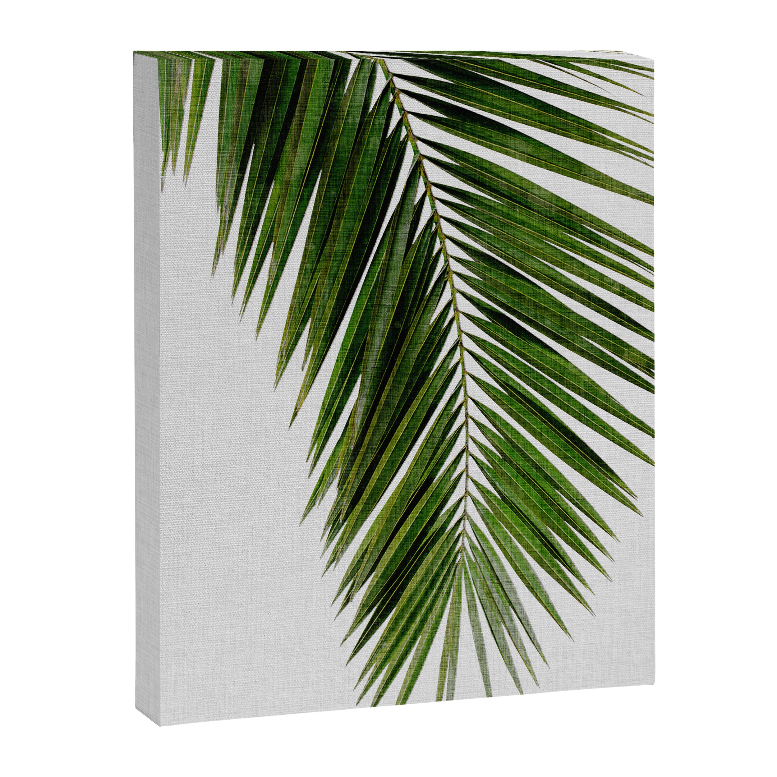 Palm Leaf I Canvas Print Gallery Image 6