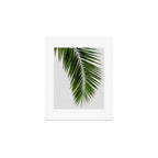 Palm Leaf I Art Print Gallery Image 1