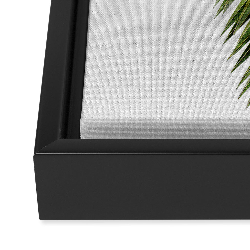 Palm Leaf I Framed Canvas Print Gallery Image 3