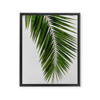 Palm Leaf I Framed Canvas Print Gallery Image 6