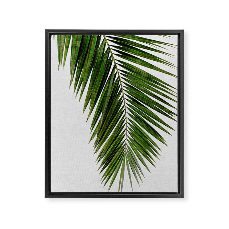 Palm Leaf I Framed Canvas Print Gallery Image 6