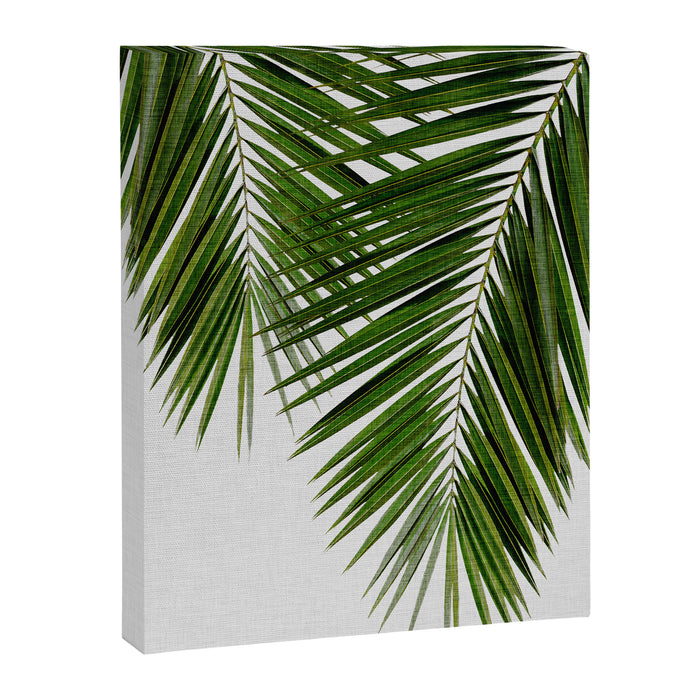 Palm Leaf II Canvas Print Gallery Image 1