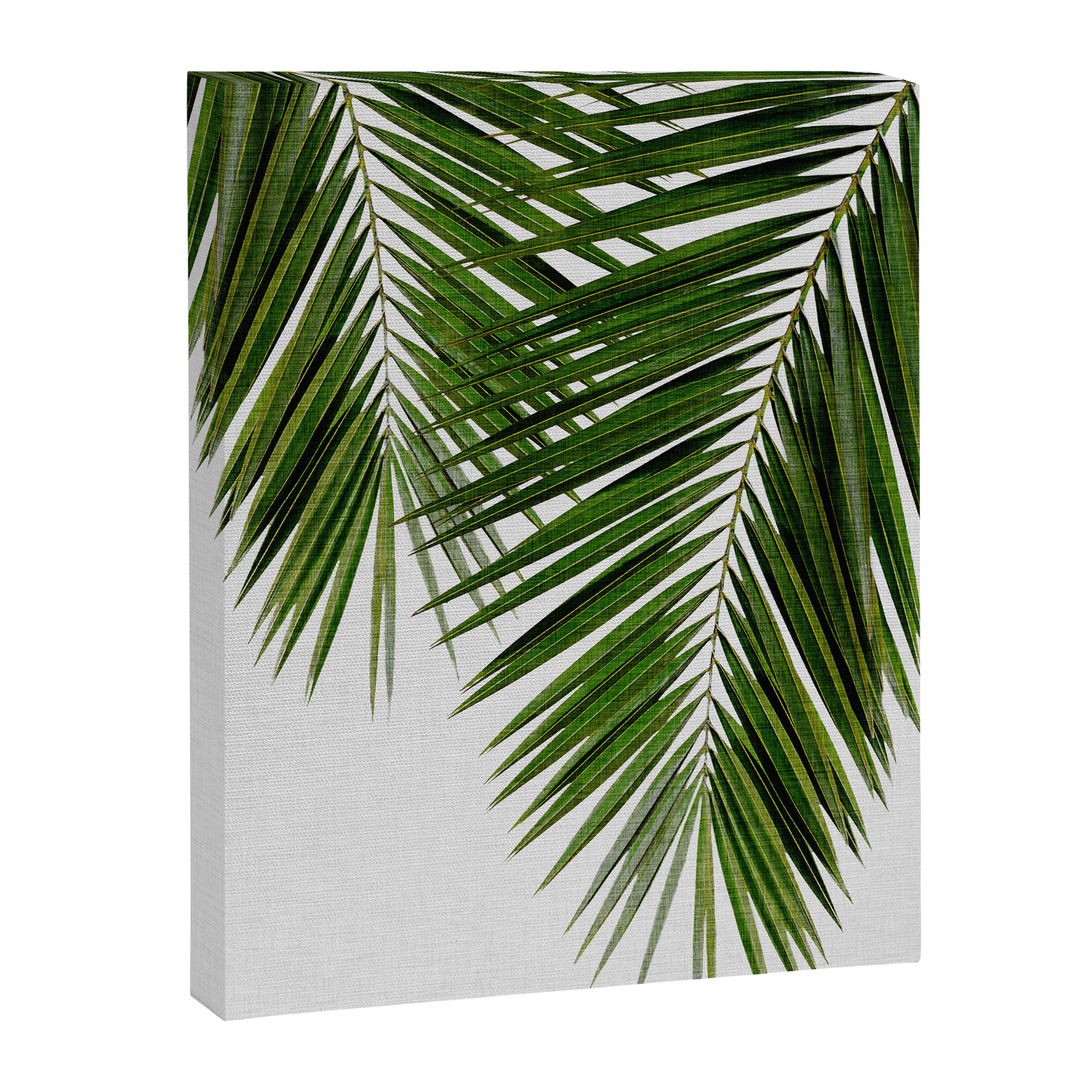 Palm Leaf II Canvas Print Gallery Image 6