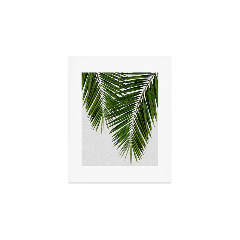 Palm Leaf II Art Print Gallery Image 1