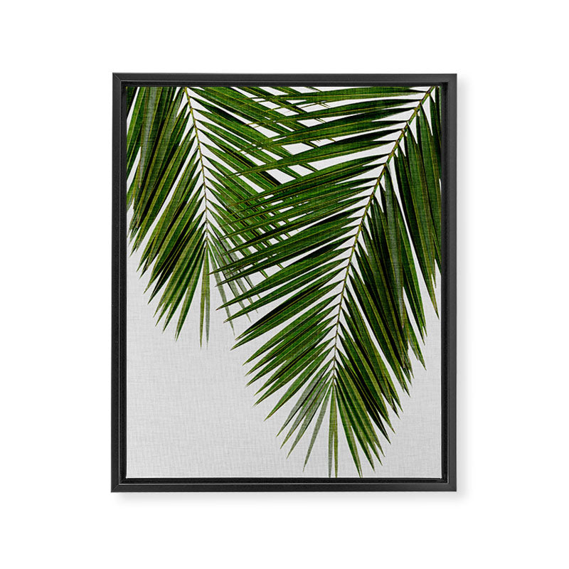 Palm Leaf II Framed Canvas Print Gallery Image 6