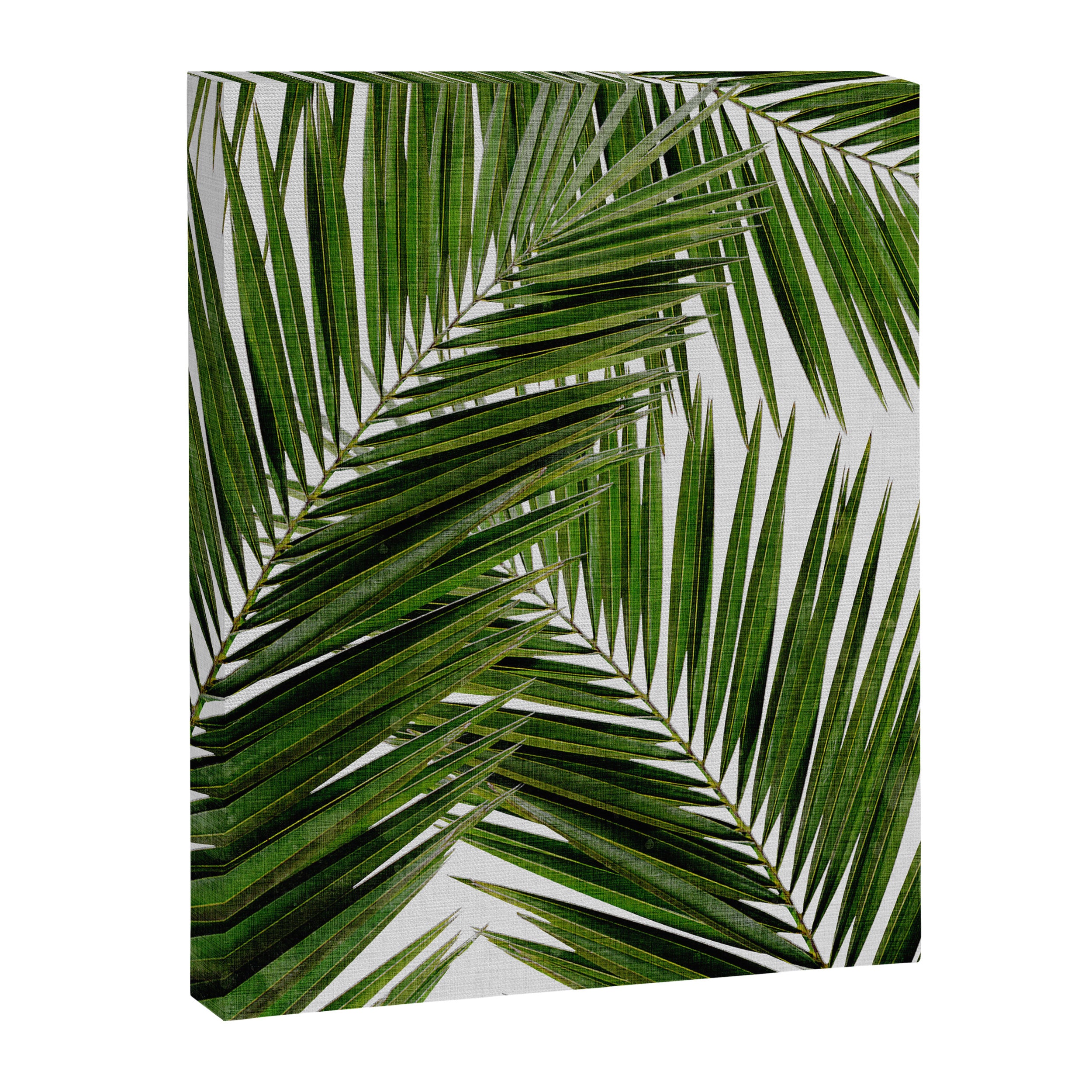 Palm Leaf III Canvas Print Gallery Image 6