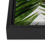 Palm Leaf III Framed Canvas Print Gallery Image 3