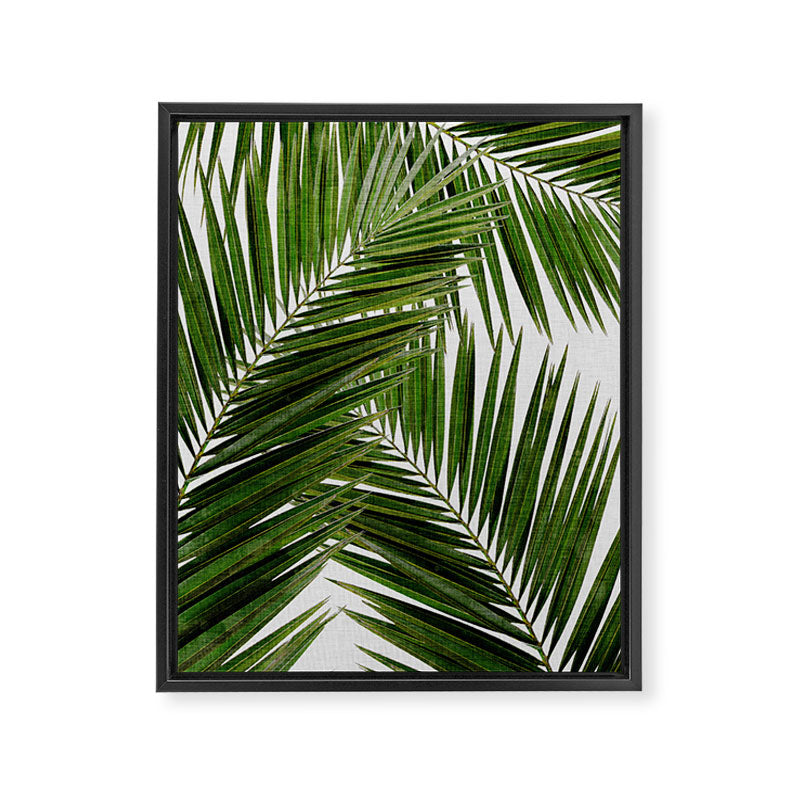 Palm Leaf III Framed Canvas Print Gallery Image 6