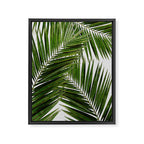 Palm Leaf III Framed Canvas Print Gallery Image 6