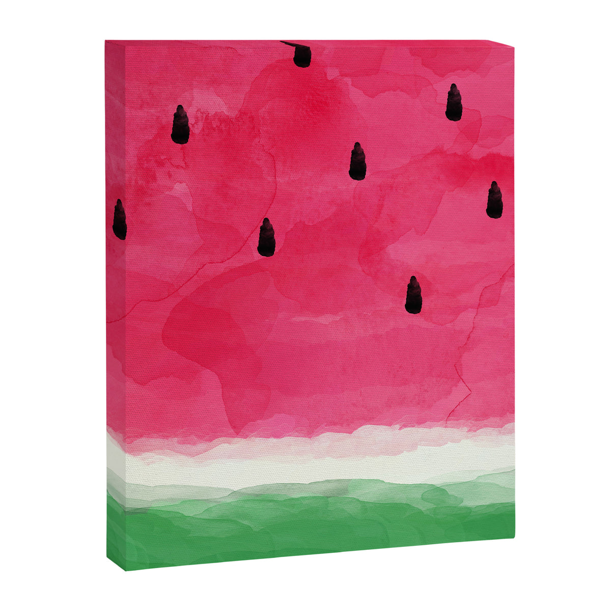 Watermelon Abstract Canvas Print Gallery Image 8