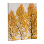 Aspen Trees #decor #society6 #buyart Canvas Print Gallery Image 8
