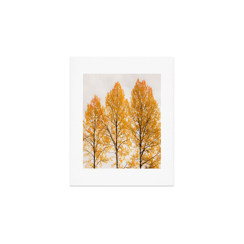 Aspen Trees #decor #society6 #buyart Art Print Gallery Image 1