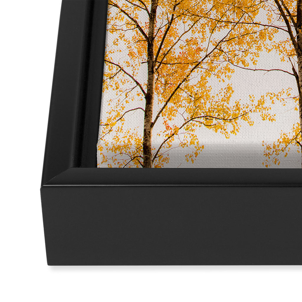 Aspen Trees #decor #society6 #buyart Framed Canvas Print Gallery Image 3