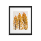Aspen Trees #decor #society6 #buyart Framed Art Print Gallery Image 4
