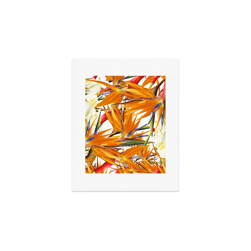 Bird of paradise flowers Art Print Gallery Image 1