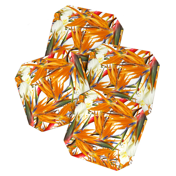 Bird of paradise flowers Coaster Gallery Image 1