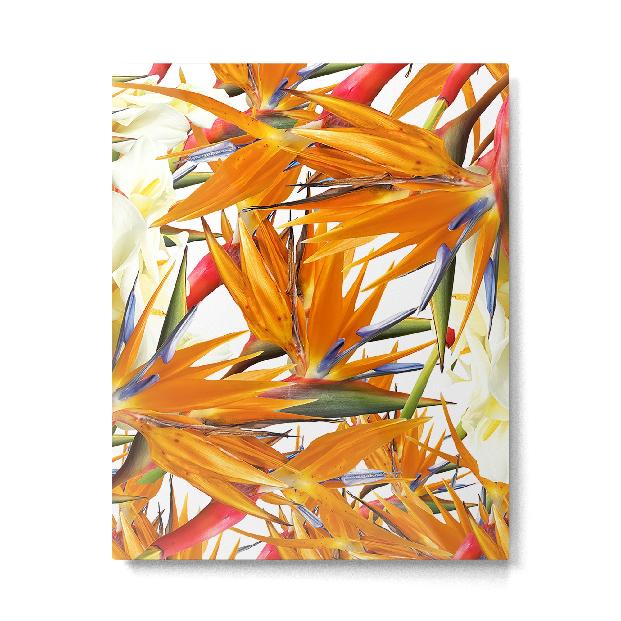 Bird of paradise flowers Metal Print Gallery Image 6