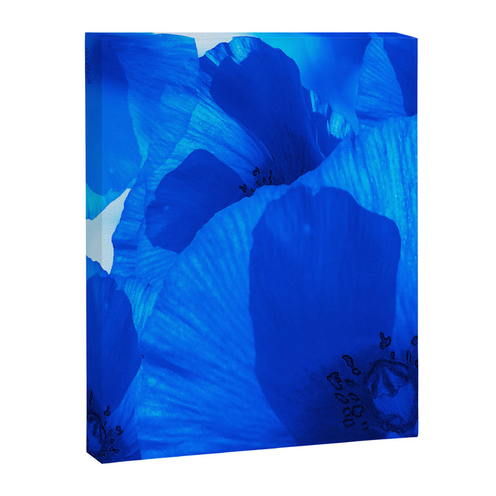 Blue Poppies #decor #society6 #buyart Canvas Print Gallery Image 1