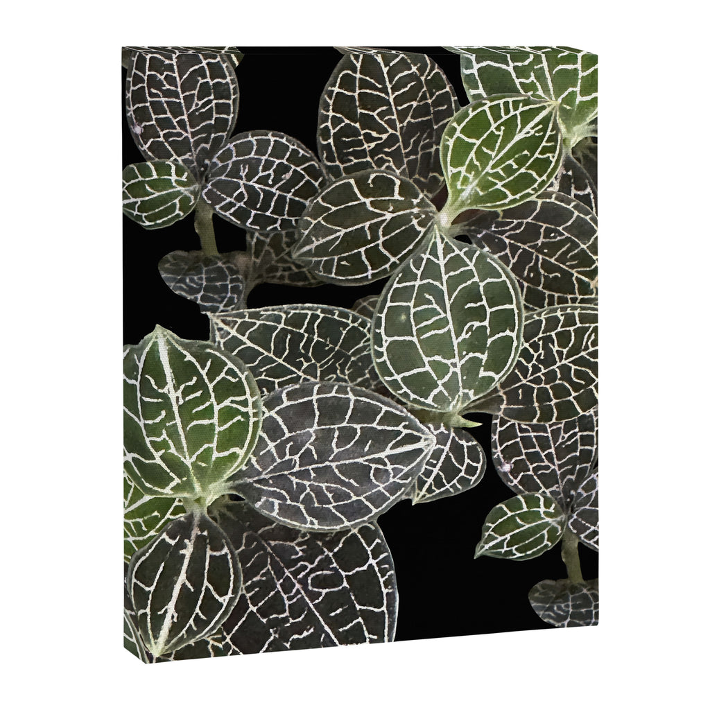 Elegant leaf skeleton foliage on black Canvas Print Gallery Image 8
