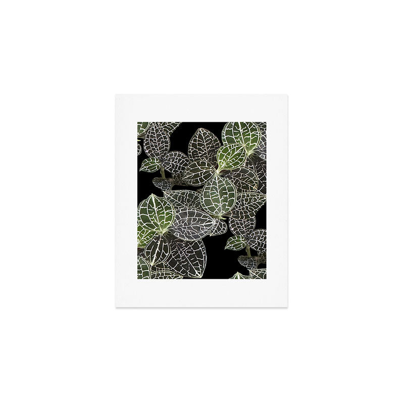 Elegant leaf skeleton foliage on black Art Print Gallery Image 1