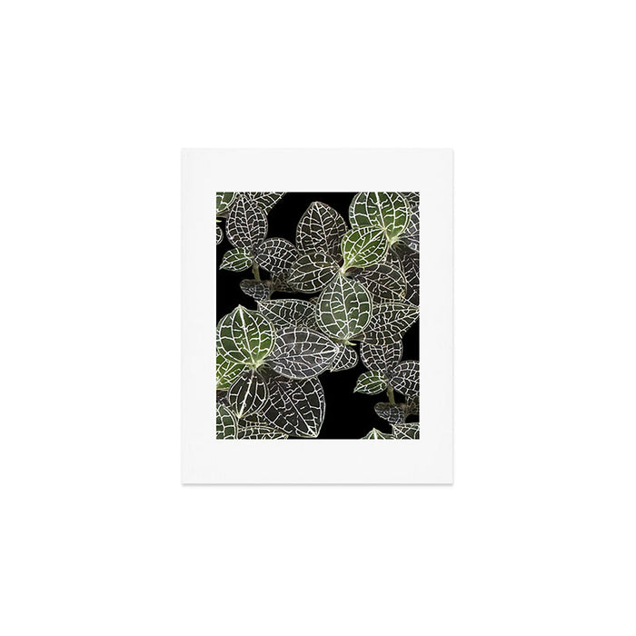 Elegant leaf skeleton foliage on black Art Print Gallery Image 1
